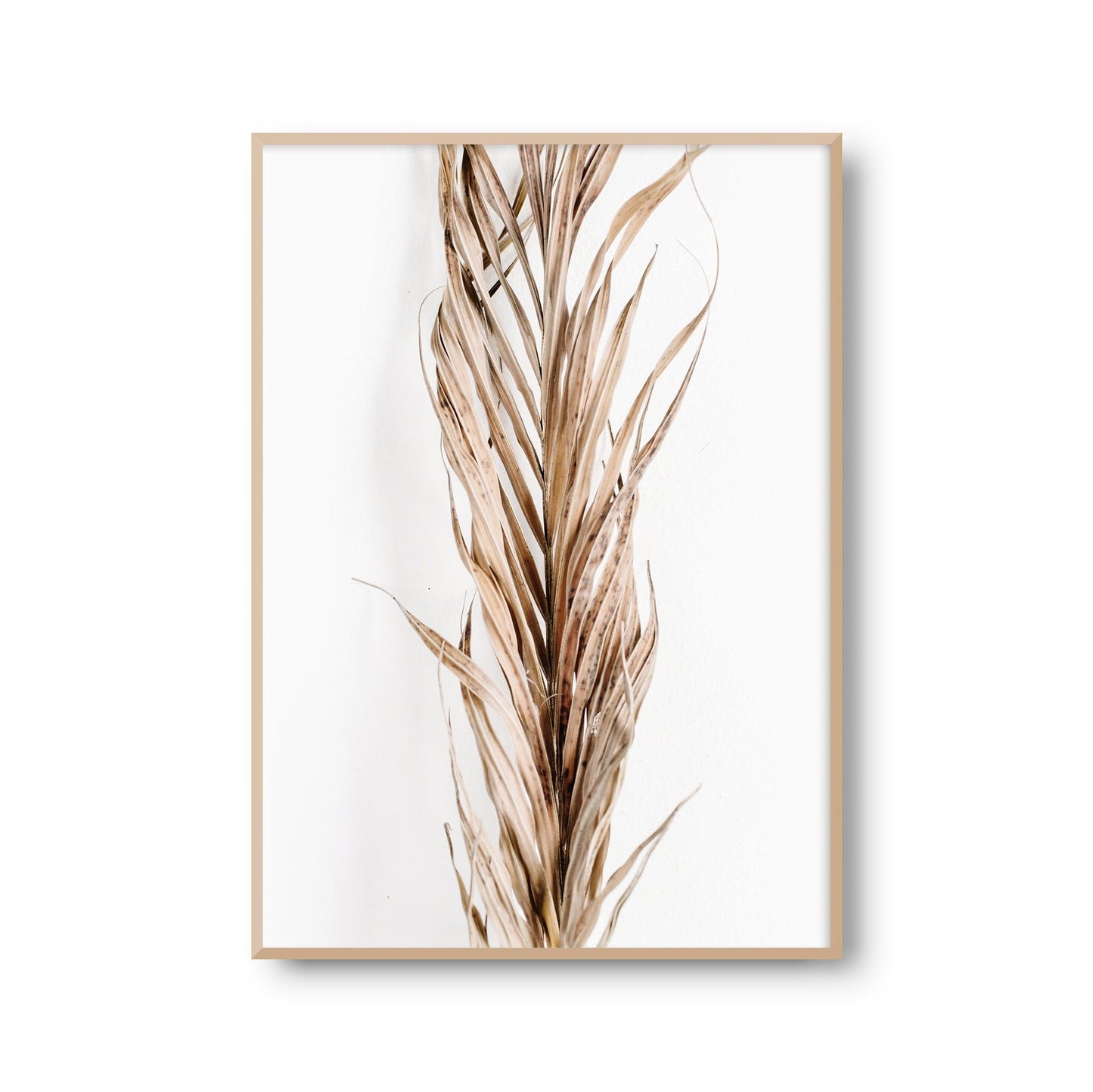 Fotoposter "Vertrockneter Palmenwedel" Palmenblätter Palme Fotokunst Fotografie Poster Fotoprint Kunstdruck Wanddeko (OHNE RAHMEN)