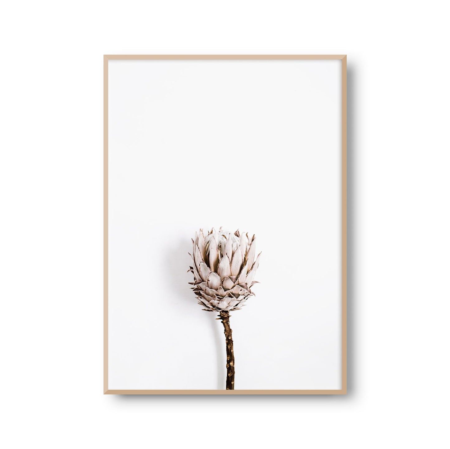 Fotoposter "Trockenblume" Blume Florale Fotokunst Fotografie Poster Fotoprint Kunstdruck Bild Wanddeko Foto Wandbild Kunst (OHNE RAHMEN)