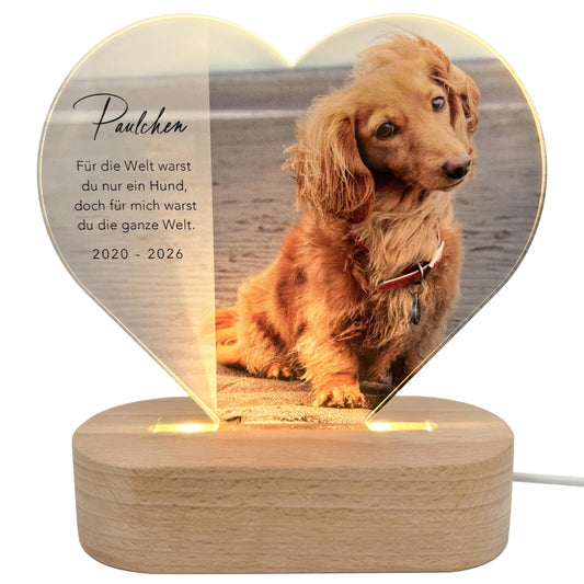 Gedenktafel Andenken an verstorbene Hunde LED-Lampe aus Acrylglas mit Foto Geschenk für Katzenbesitzer mit Holzfuß [Energieklasse A]