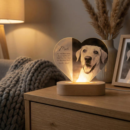 Gedenktafel Andenken an verstorbene Hunde LED-Lampe aus Acrylglas mit Foto Geschenk für Katzenbesitzer mit Holzfuß [Energieklasse A]