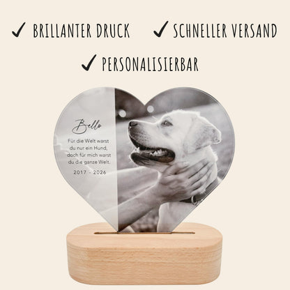 Gedenktafel Andenken an verstorbene Hunde LED-Lampe aus Acrylglas mit Foto Geschenk für Katzenbesitzer mit Holzfuß [Energieklasse A]