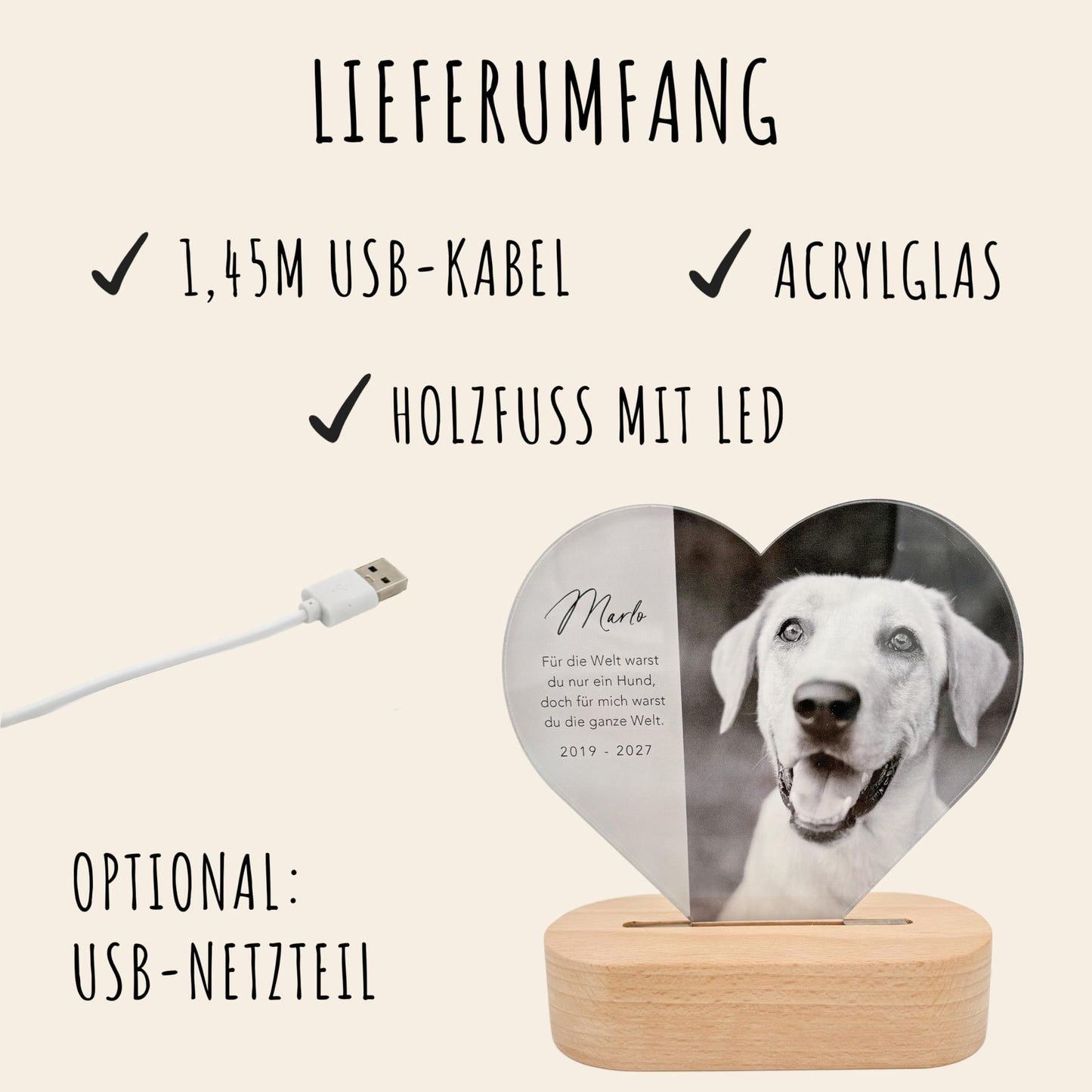 Gedenktafel Andenken an verstorbene Hunde LED-Lampe aus Acrylglas mit Foto Geschenk für Katzenbesitzer mit Holzfuß [Energieklasse A]