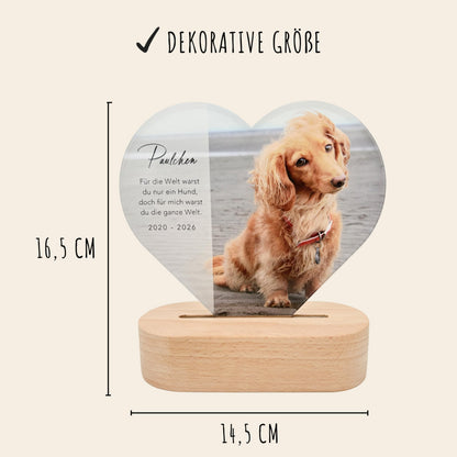 Gedenktafel Andenken an verstorbene Hunde LED-Lampe aus Acrylglas mit Foto Geschenk für Katzenbesitzer mit Holzfuß [Energieklasse A]