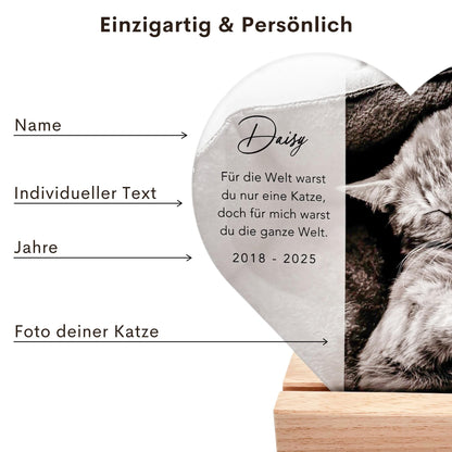 Andenken an verstorbene Katze Gedenktafel Katze Trauergeschenk Acrylglas Herz personalisiertes Geschenk für Trauernde inkl. Holzfuß 20x22 cm