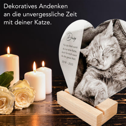 Andenken an verstorbene Katze Gedenktafel Katze Trauergeschenk Acrylglas Herz personalisiertes Geschenk für Trauernde inkl. Holzfuß 20x22 cm
