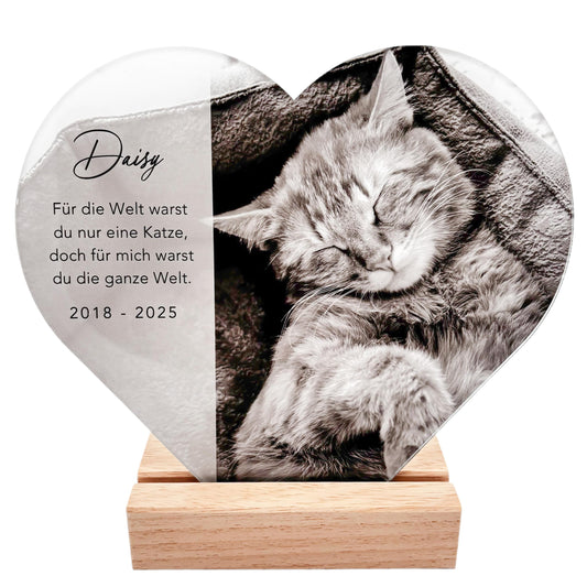 Andenken an verstorbene Katze Gedenktafel Katze Trauergeschenk Acrylglas Herz personalisiertes Geschenk für Trauernde inkl. Holzfuß 20x22 cm