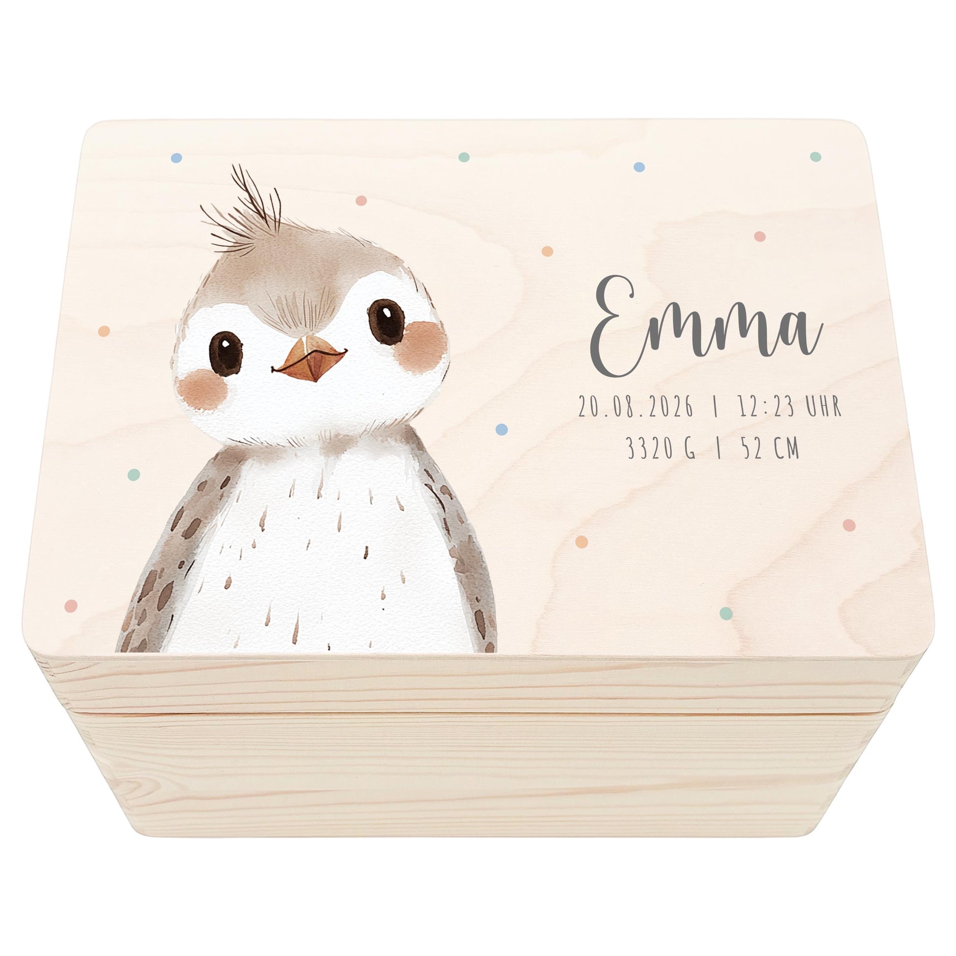 Erinnerungskiste Baby Vogel Holzkiste personalisierte Erinnerungsbox Mädchen Junge Geschenk Geburt Geburtsgeschenk 30x20x13 cm