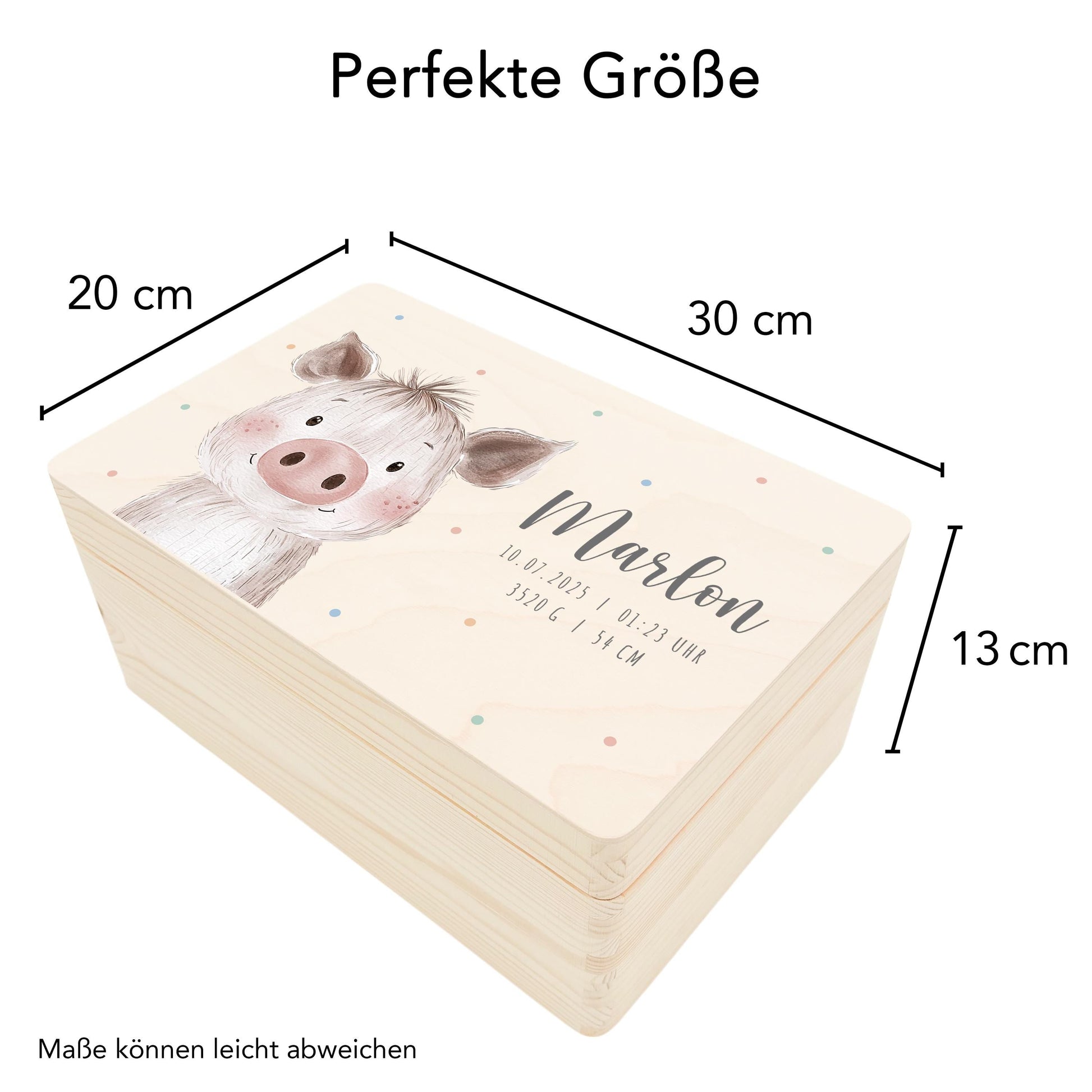 Erinnerungskiste Baby Schwein Holzkiste personalisierte Erinnerungsbox Mädchen Junge Geschenk Geburt Geburtsgeschenk 30x20x13 cm