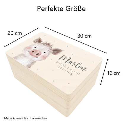 Erinnerungskiste Baby Schwein Holzkiste personalisierte Erinnerungsbox Mädchen Junge Geschenk Geburt Geburtsgeschenk 30x20x13 cm