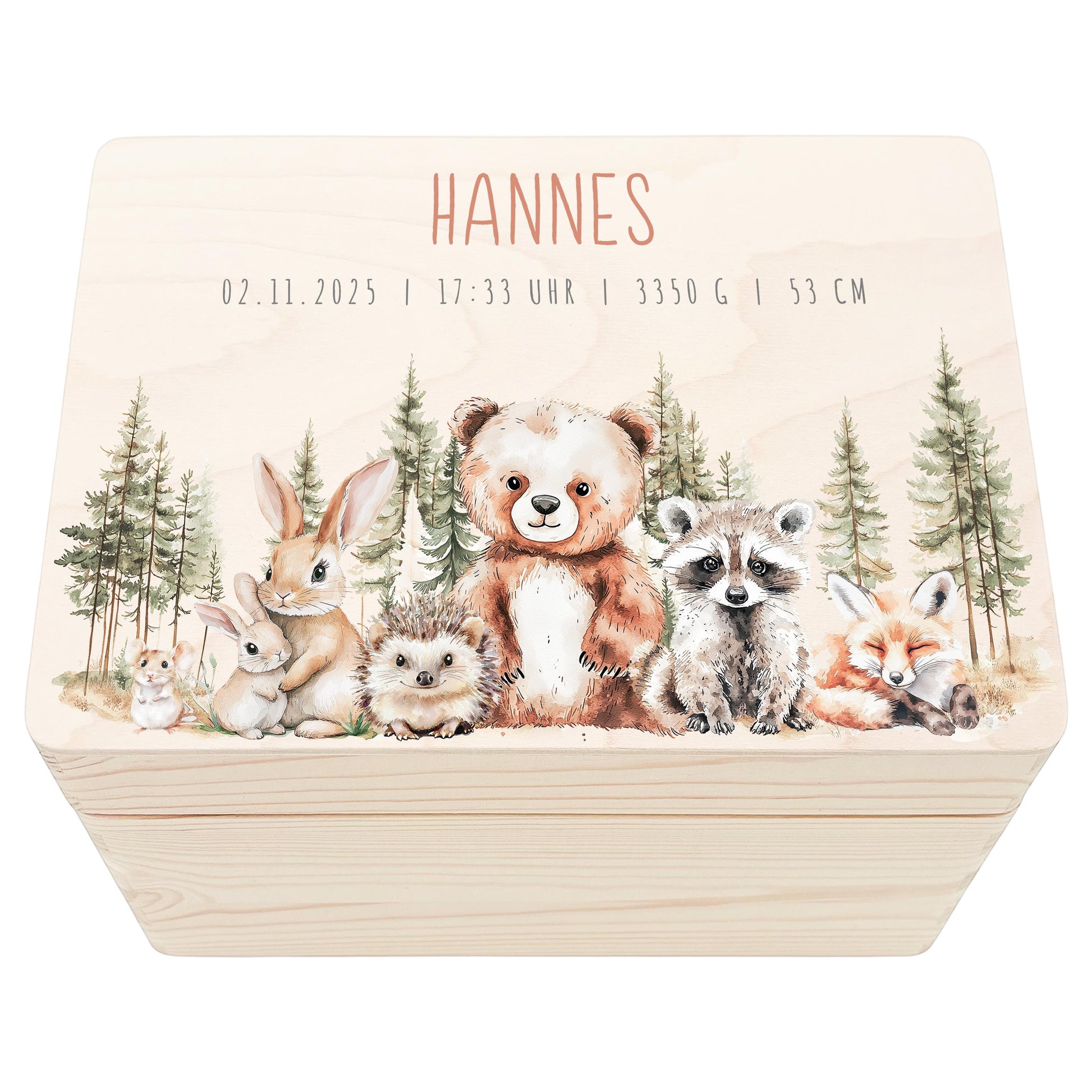 Erinnerungskiste Baby Holzkiste personalisierte Erinnerungsbox Waldtiere Mädchen Junge Geschenk Geburt Geburtsgeschenk 30x20x13 cm