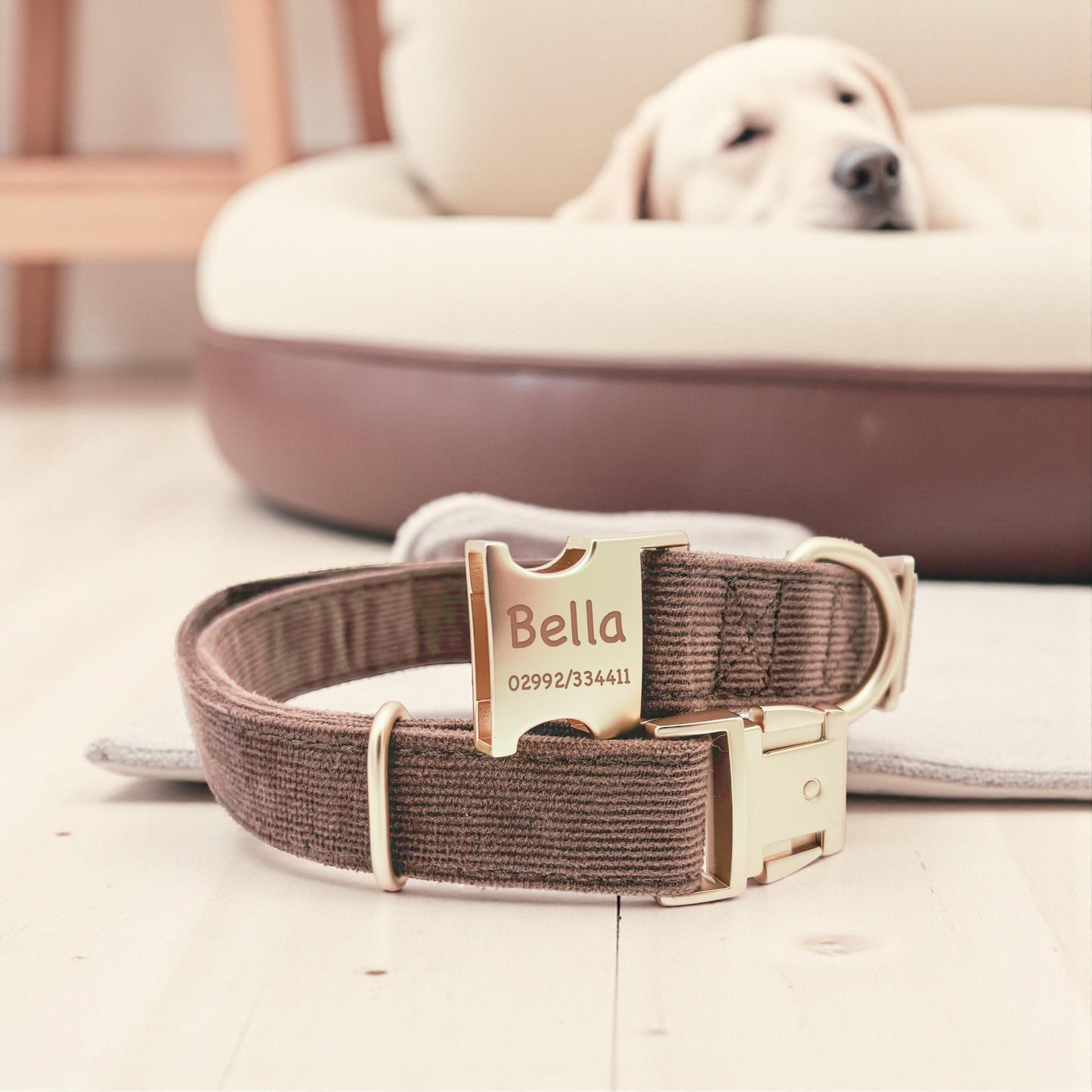 Hundehalsband personalisiert mit Namen Hundemarke Halsband Hund Geschenk mit Gravur Braun
