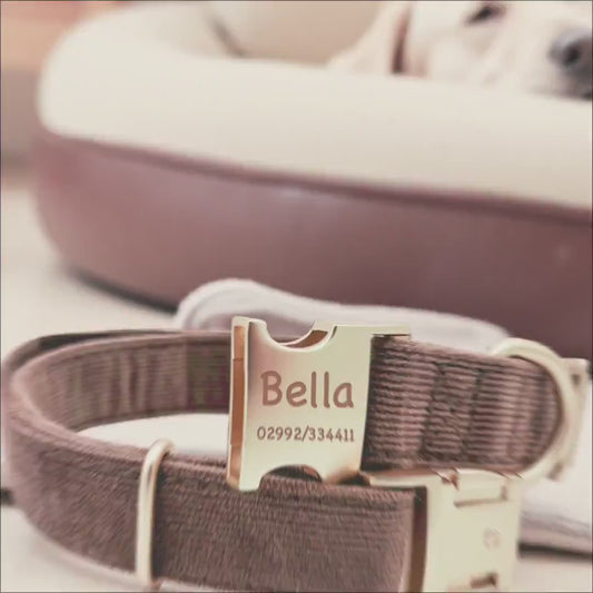 Hundehalsband personalisiert mit Namen Hundemarke Halsband Hund Geschenk mit Gravur Braun