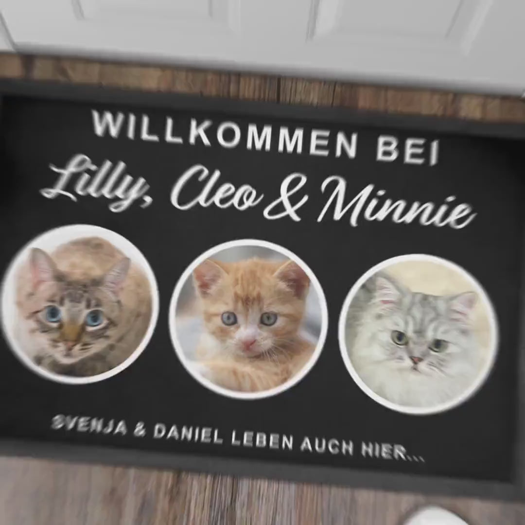 Fußmatte Katze personalisiert Einweihungsgeschenk Wohnung Geschenk Haustier Fußabtreter Haustür Türmatte Schmutzfangmatte für Innen 60x40 cm