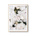 Fotoposter Weiße Blumen Rosen Fotokunst Fotografie Poster Fotoprint Kunstdruck Bild Wanddeko Foto Wandbild Kunst (OHNE RAHMEN)
