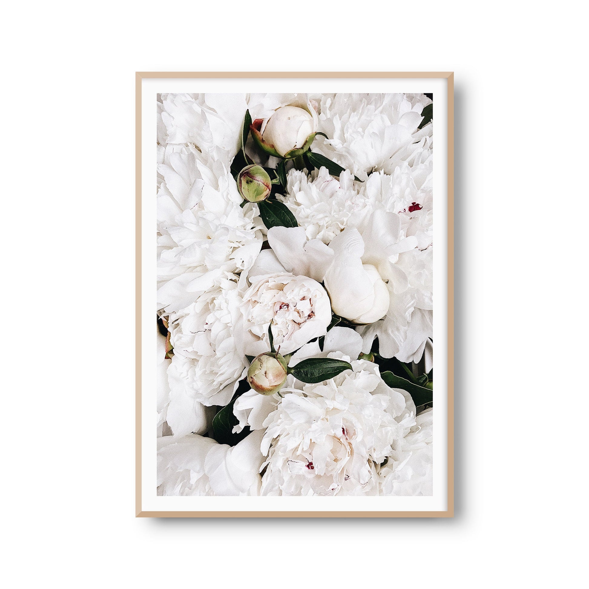 Fotoposter Weiße Blumen Rosen Fotokunst Fotografie Poster Fotoprint Kunstdruck Bild Wanddeko Foto Wandbild Kunst (OHNE RAHMEN)