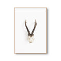 Fotoposter Geweih Reh Fotokunst Fotografie Poster Fotoprint Kunstdruck Bild Wanddeko Foto Wandbild Kunst (OHNE RAHMEN)