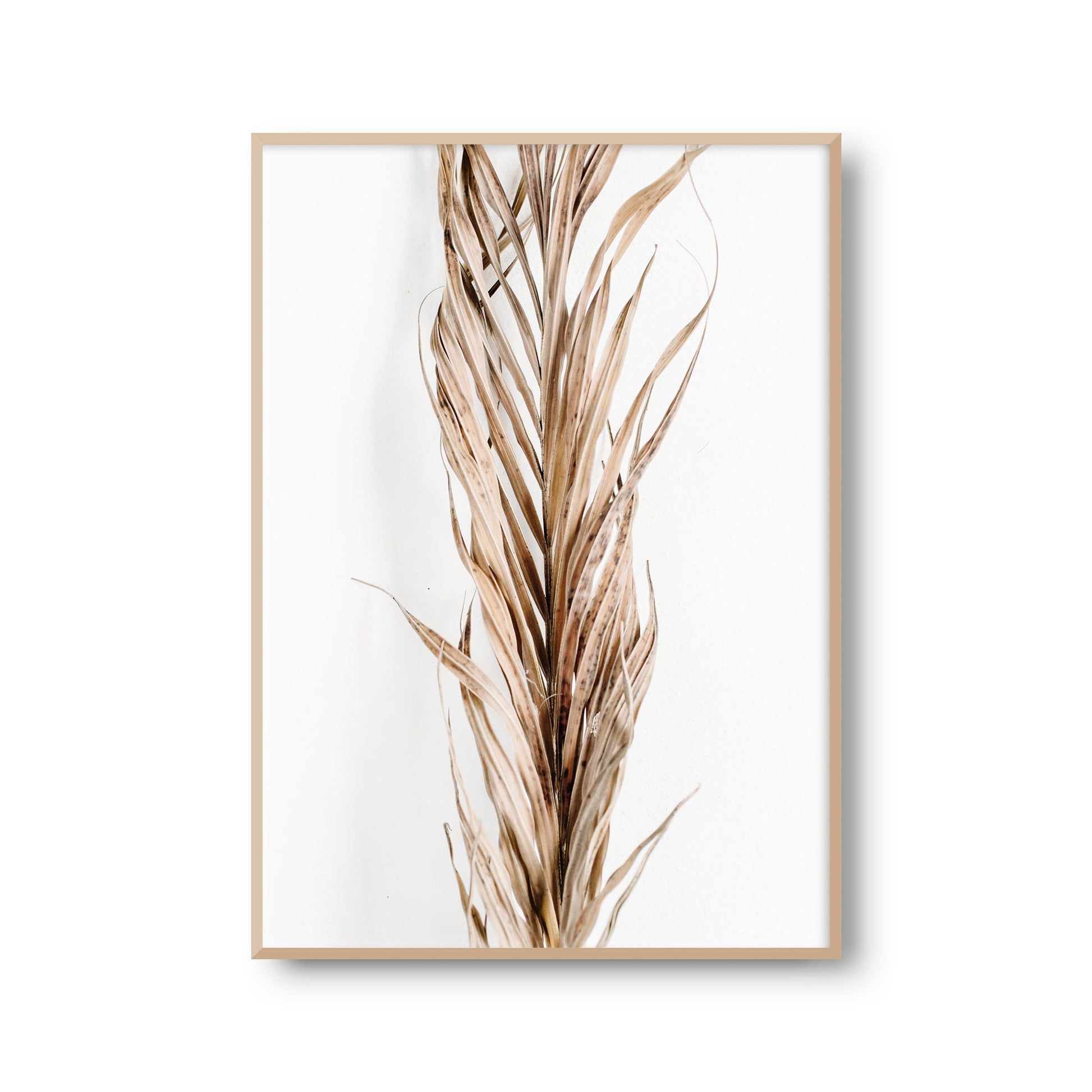 Fotoposter "Vertrockneter Palmenwedel" Palmenblätter Palme Fotokunst Fotografie Poster Fotoprint Kunstdruck Wanddeko (OHNE RAHMEN)