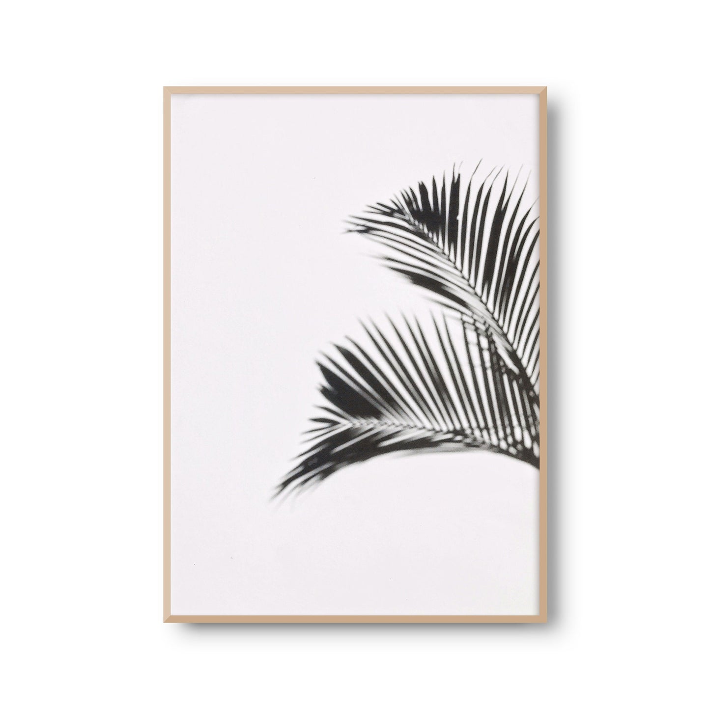 Fotoposter "Palmenwedel Schatten" Palmenblatt Palme Poster Fotoprint Kunstdruck Bild Wanddeko Foto Wandbild Kunst (OHNE RAHMEN)