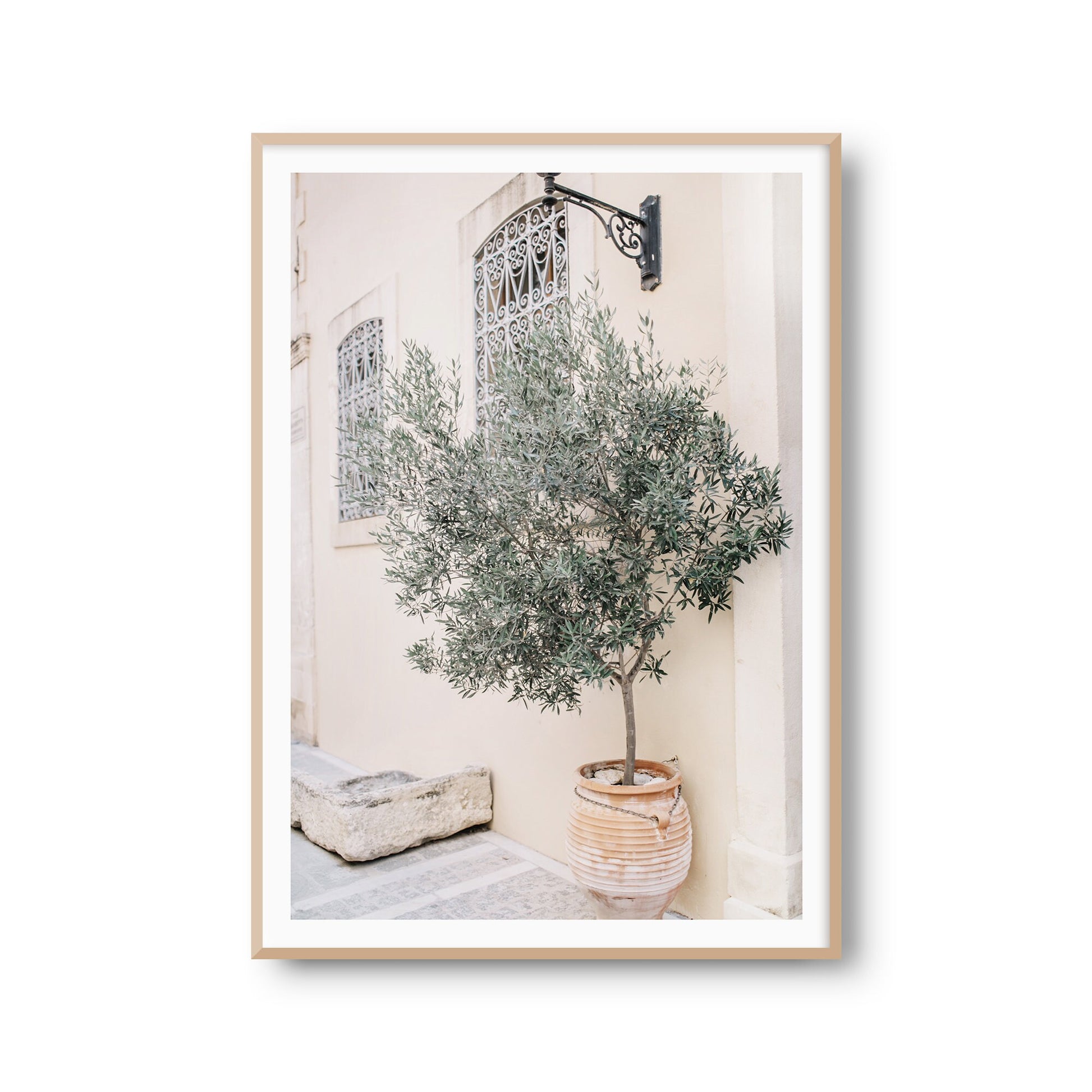 Fotoposter "Olivenbaum" Mediterrane Pflanze Fotokunst Fotografie Poster Fotoprint Kunstdruck Bild Wanddeko Foto Wandbild Kunst (OHNE RAHMEN)