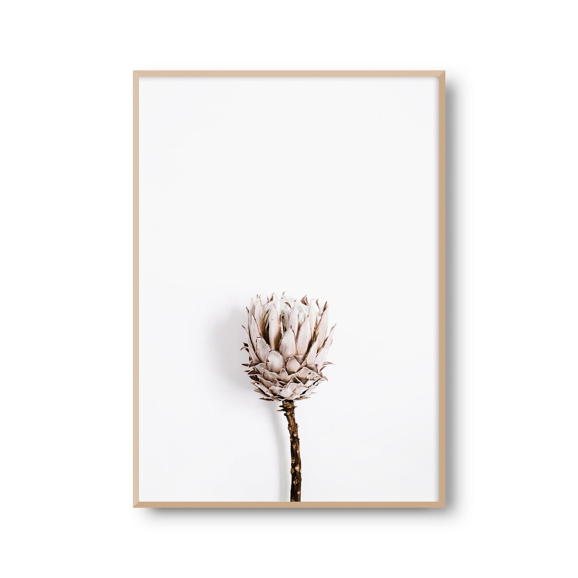 Fotoposter "Trockenblume" Blume Florale Fotokunst Fotografie Poster Fotoprint Kunstdruck Bild Wanddeko Foto Wandbild Kunst (OHNE RAHMEN)