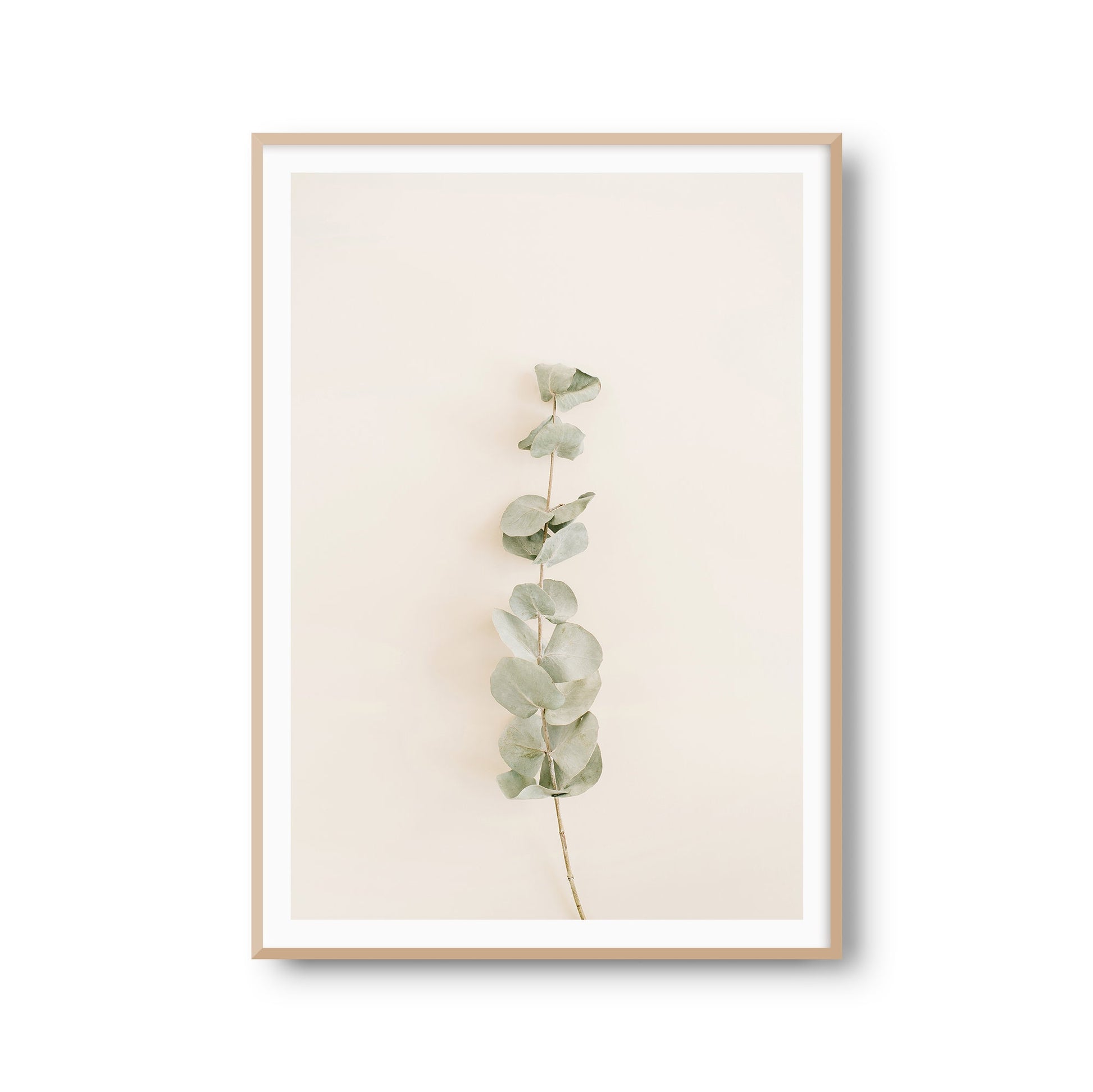 Wanddeko Poster "Eukalyptus" Beige Fotoprint Kunstdruck Bild Fotografie Print Wandbild Kunstdruck (OHNE RAHMEN)