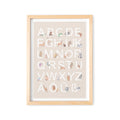 ABC Poster Alphabet Bild Für Kinderzimmer Lernposter Für Kinder